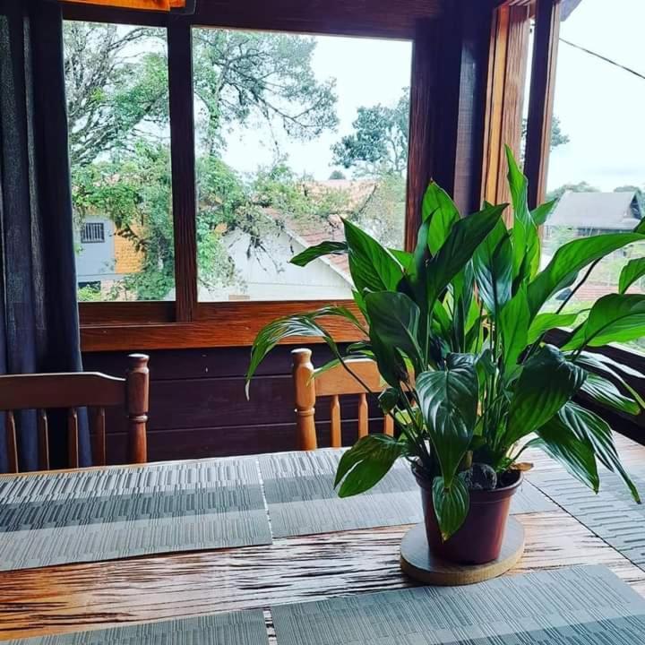 Refugio Jardim Mariana 호텔 카넬라 외부 사진